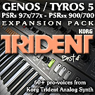 Yamaha Exapnsion Pack Korg TRIDENT